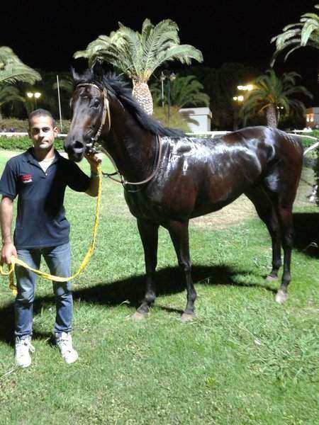 Siracusa, Ippica: Saint Steven e Rayos de Sol incantano il Mediterraneo