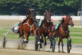Siracusa, ippica: seconda giornata di trotto al Mediterraneo
