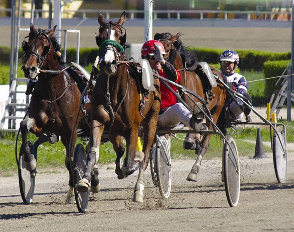 Siracusa, ippica: è bis per Giuseppe Porzio Jr con Tea For two Font e Uhlwillher