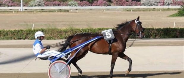 Natale Cintura Siracusa Times