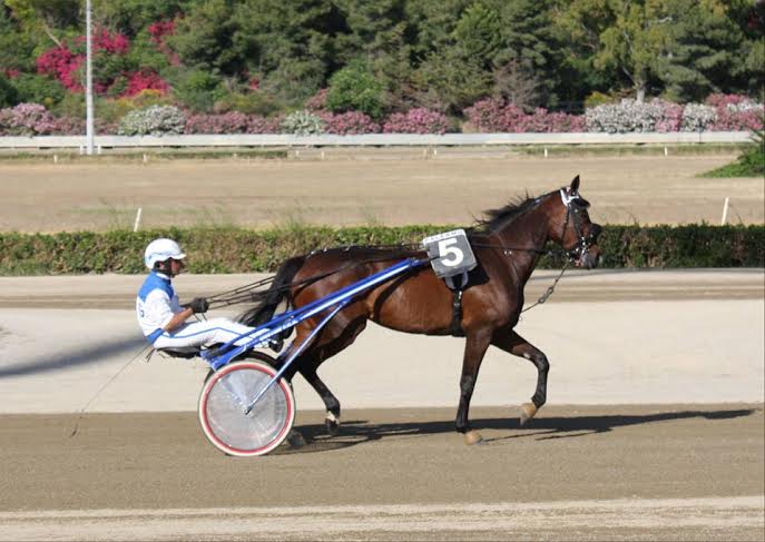 Siracusa, ippica: Poggio domina all’Ippodromo del Mediterraneo