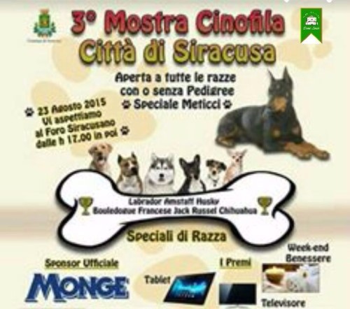 Siracusa: torna domenica 23 agosto il terzo appuntamento con la “Mostra Cinofila Città di Siracusa”