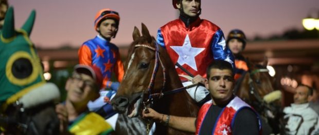 ritorno galoppo siracusa times