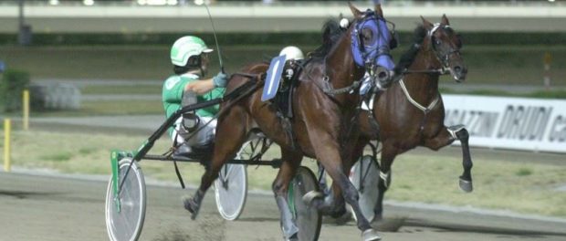 trotto ippica siracusa times