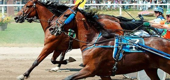 trotto siracusa times