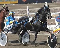 Siracusa, ippica: fenomenale Usa di Ruggero e Talabarteria ancora reginetta