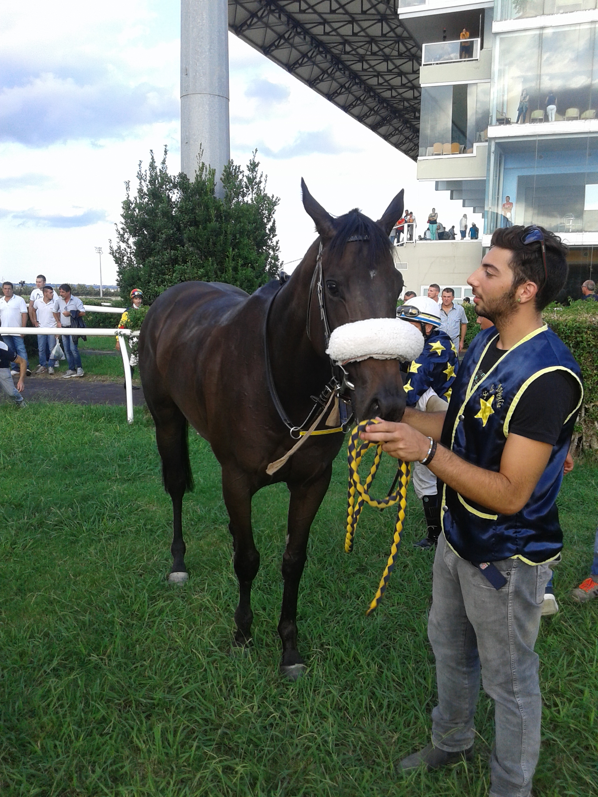 Siracusa, ippica: Scilloso ruba lo scettro a Ottawa ed è ovazione per Eternity Star