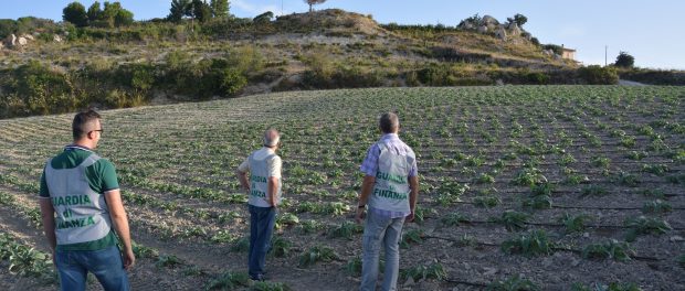 lavoro in nero siracusa times