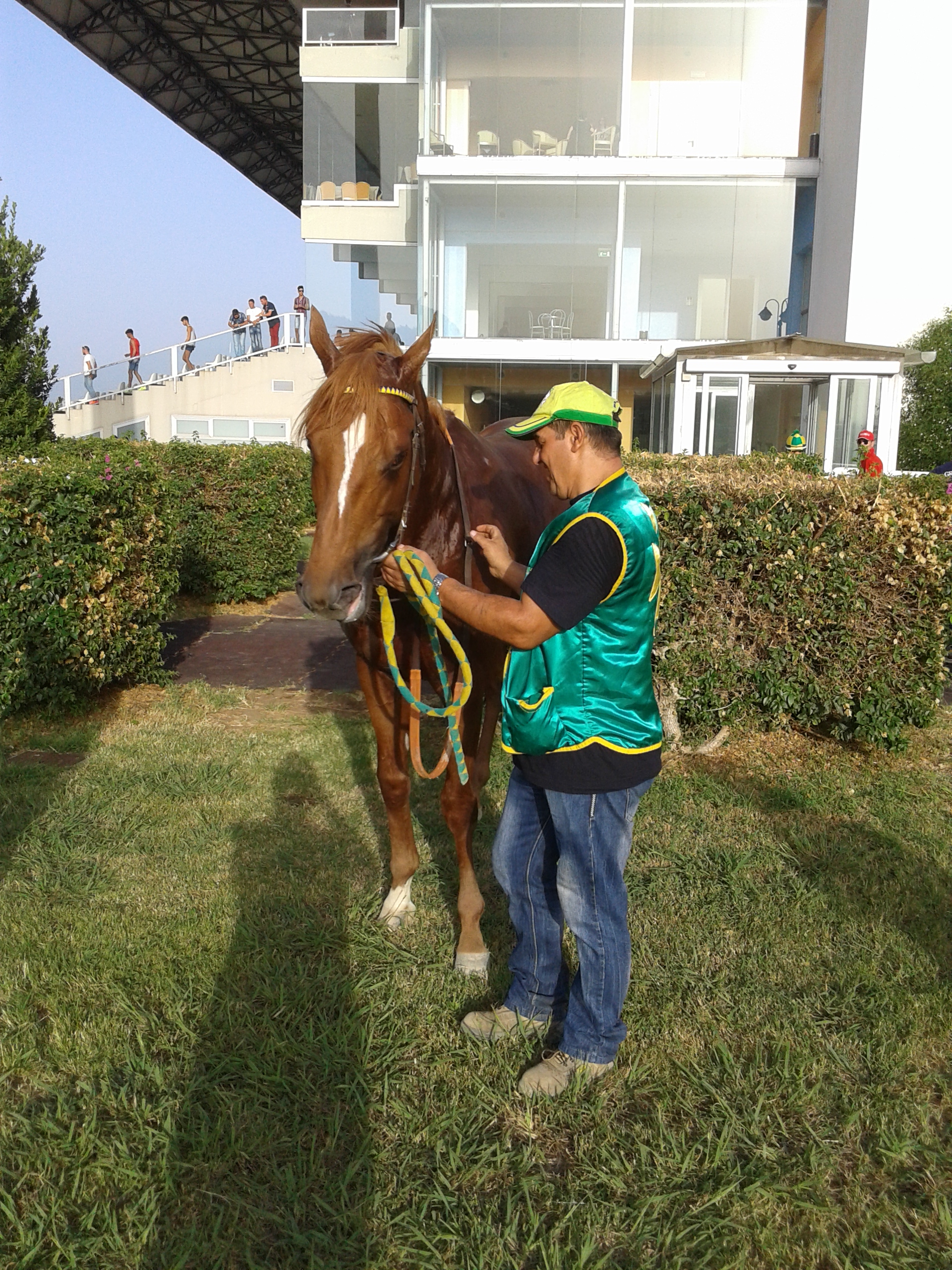 Siracusa, ippica: Mac Lir si conferma nel Memorial Festinesi