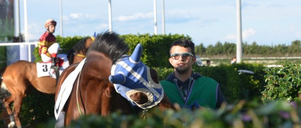 presentazione cavalli tondino siracusa times