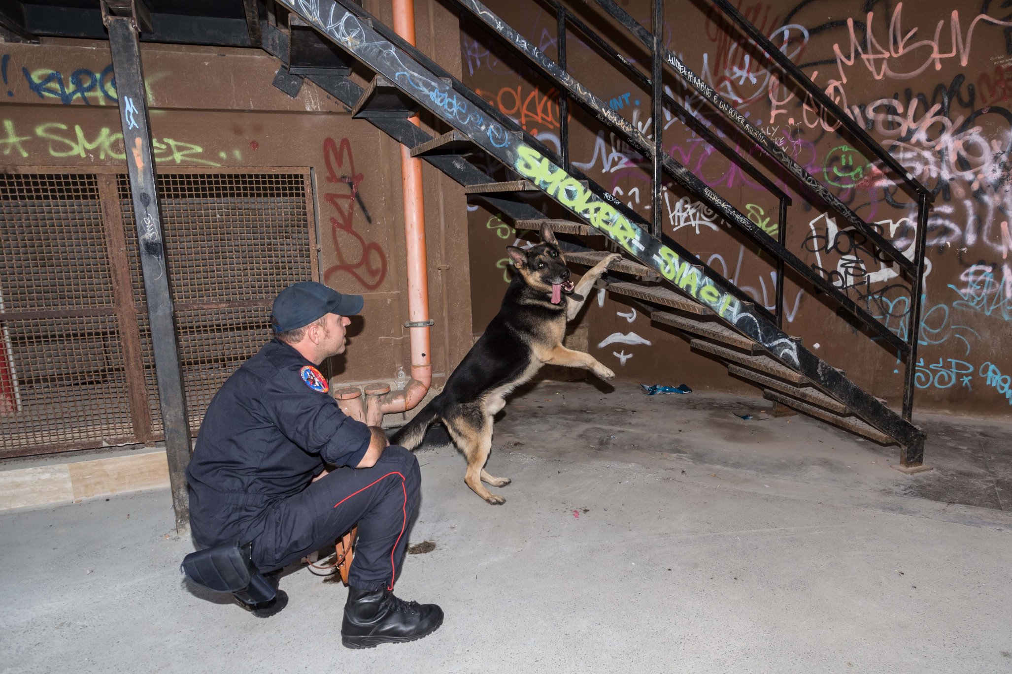 Siracusa: trovate sostanze stupefacenti all’interno degli istituti superiori