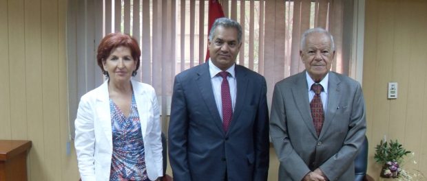 museo del papiro siracusa times