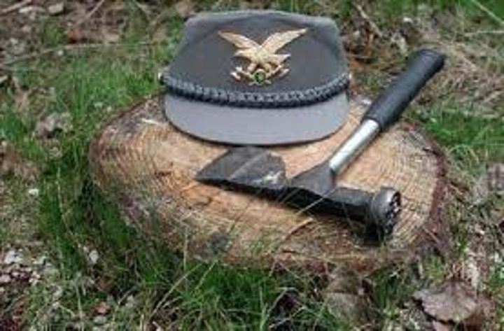 Siracusa: 47 mln euro per pagare stipendi arretrati di Forestali,Antincendio e Consorzi di Bonifica