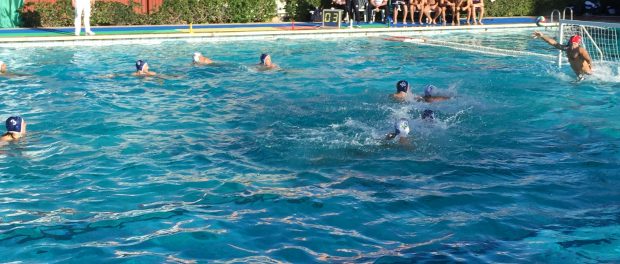 Ortigia - Trieste Siracusa Times