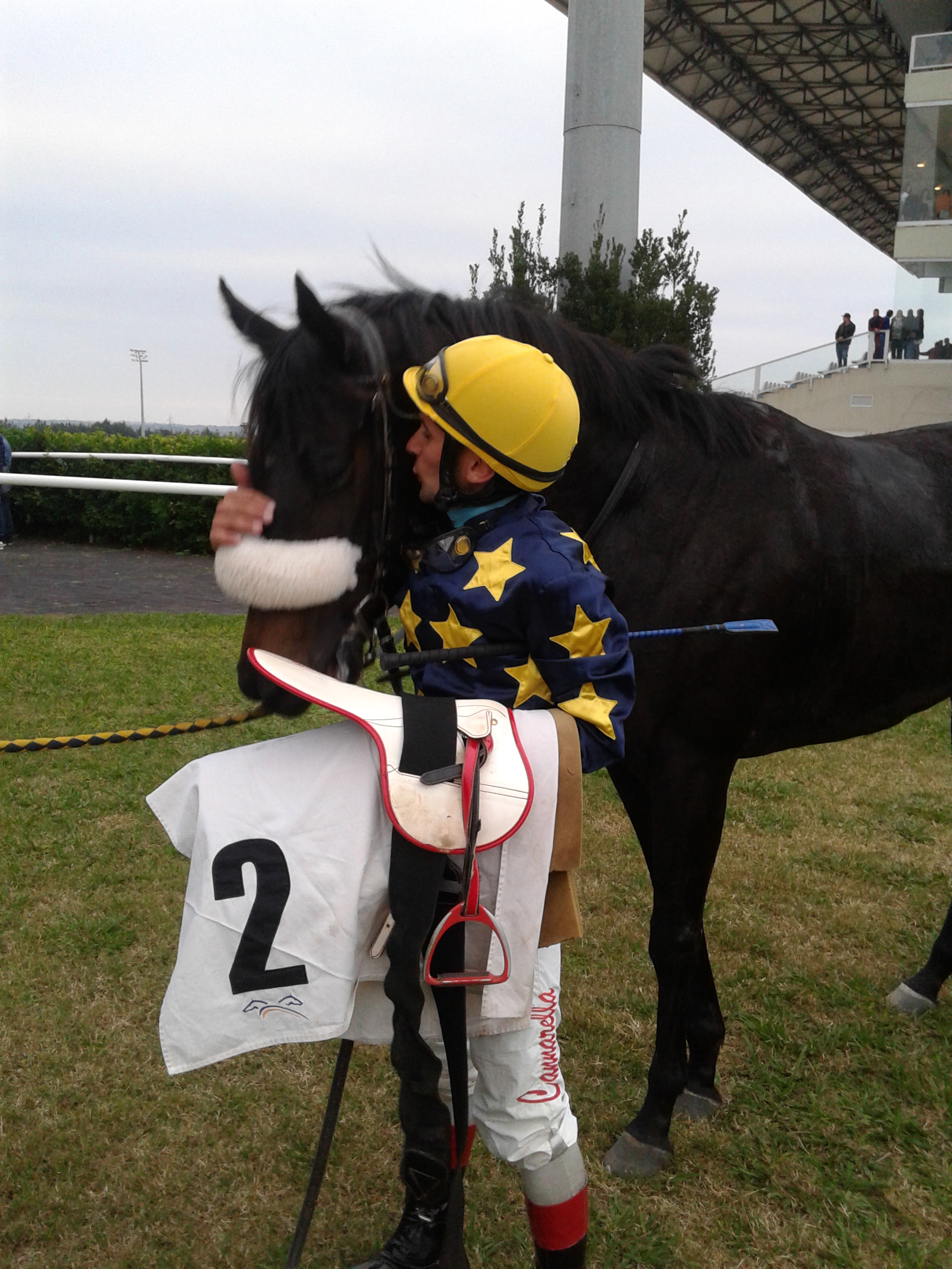 Siracusa, ippica: Eternity Star e Rayos de Sol ancora regine del Mediterraneo