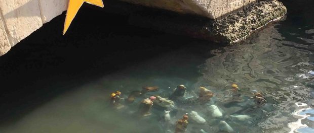 Presepe Ross Siracusa Times