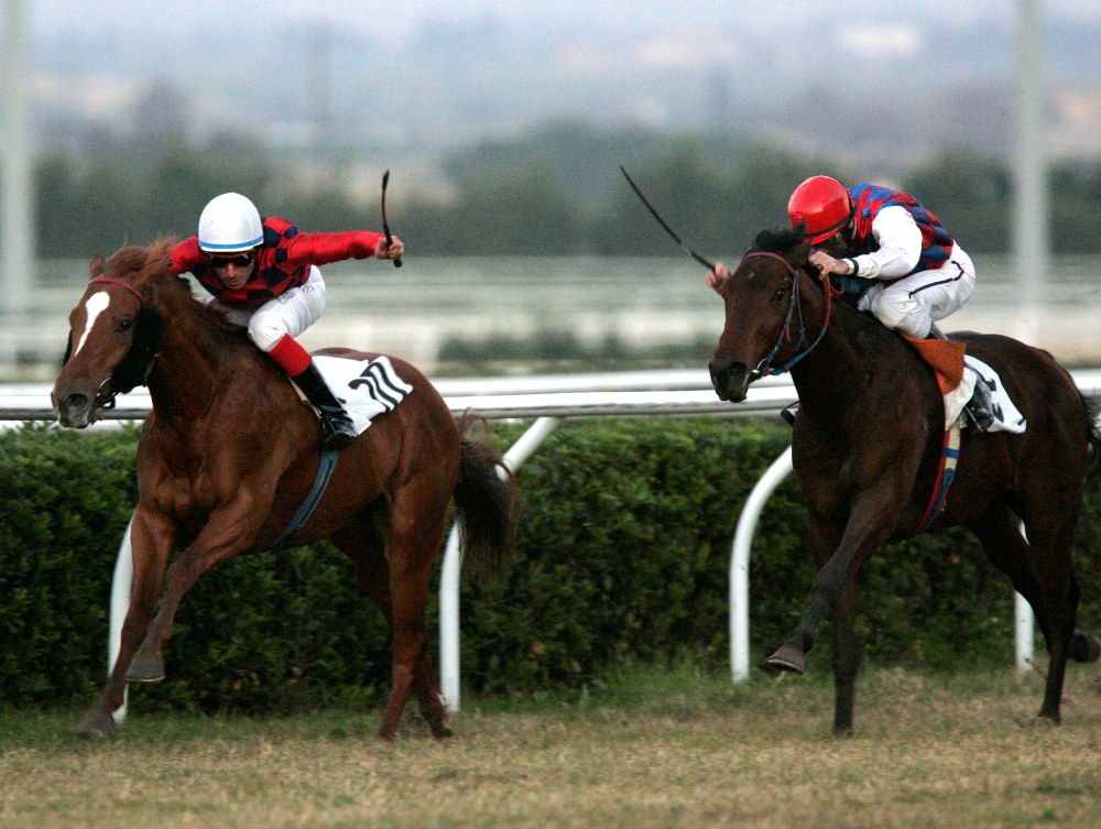 Siracusa, ippica: su Laguna Drive e Samitri le maggiori pretese