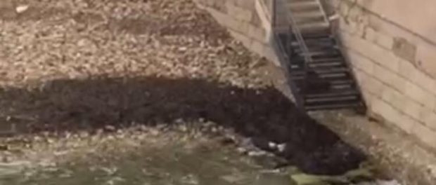 cala rossa spiaggia siracusa times