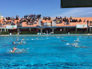 Ortigia Rosa Siracusa Times