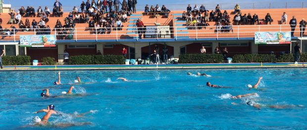 Ortigia Rosa Siracusa Times