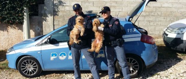foto polizia cuccioli donna 63enne morta a sr siracusa times
