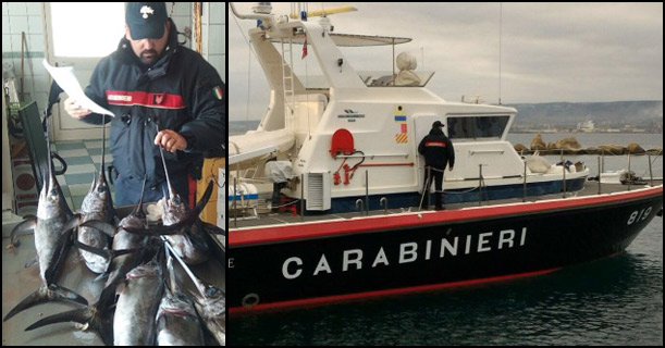 Augusta, controlli in mare: denunciato 30enne in possesso di 7 pesci spada di taglia non consentita
