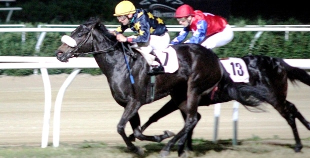 Siracusa, ippica: Pair Ou Impair l’incognita del dirt di sabato