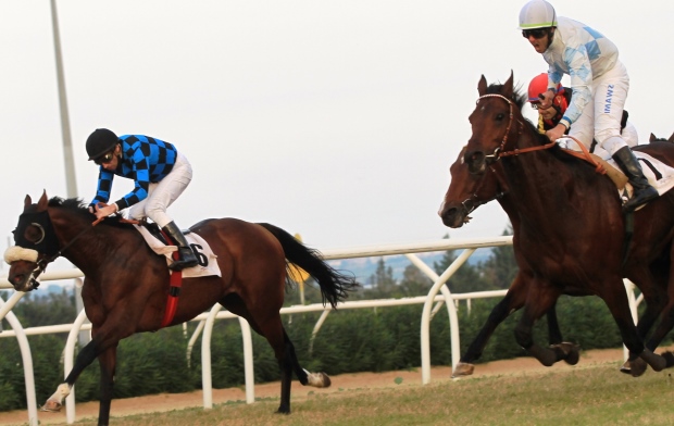 Siracusa, Ippodromo del Mediterraneo: domani due condizionate suddivise per età