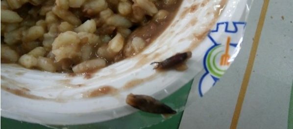 lentincchie - siracusatimes