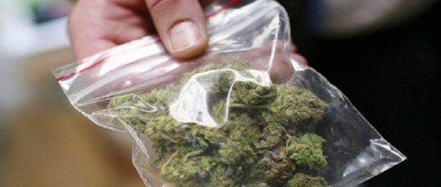 marijuana - siracusatimes