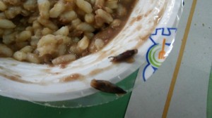 Siracusa. Il piatto di lenticchie è “sospetto”. Il Comune sospende il servizio mensa dalle scuole dell’infanzia