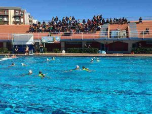 ortigia rosa - siracusatimes