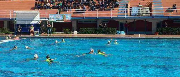 ortigia rosa - siracusatimes