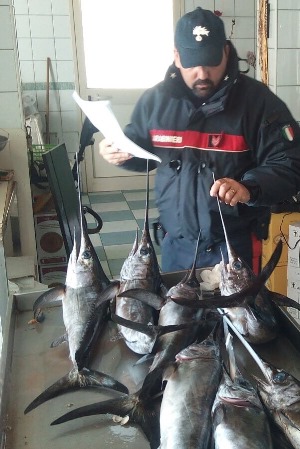 pesce spada sequestrato carabinieri siracusa times