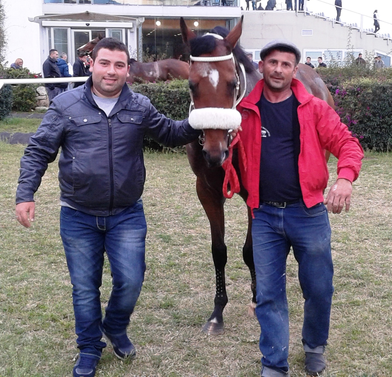 Siracusa, ippica: spettacolo in pista con Dinasty e Zaiman