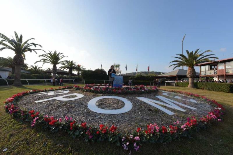 Siracusa, Ippica. Goffs Uk offre viaggio per asta al vincente del Premio Miss Griss