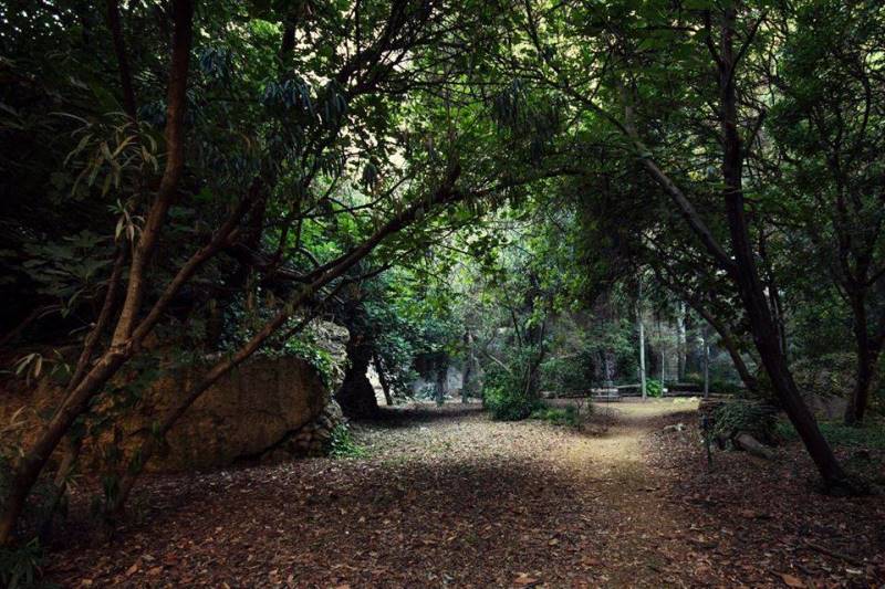 Siracusa. “Picnic alla Latomia”, un nuovo modo di vivere il sito archeologico