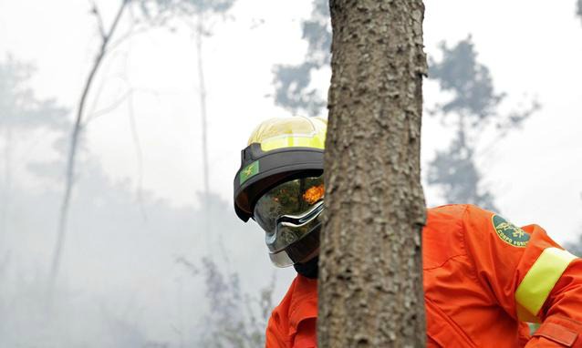 Siracusa, problematiche Forestali del Servizio Antincendio: “l’ispettorato non dialoga con il sindacato”