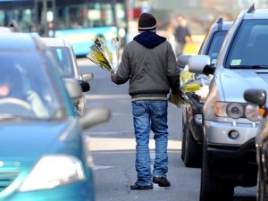 furto mimosa - siracusatimes