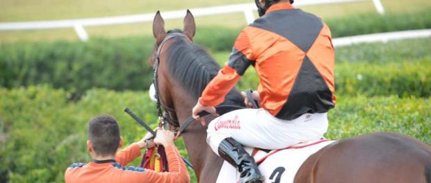 ippica siracusa times