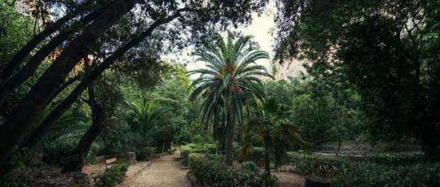 latomia_dei_cappuccini