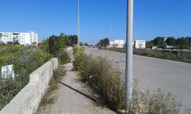 Siracusa. Al quartiere Tiche strade con erbacce, Loris Romano: “pericolo per i residenti”