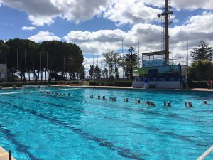 Ortigia rosa Siracusa Times