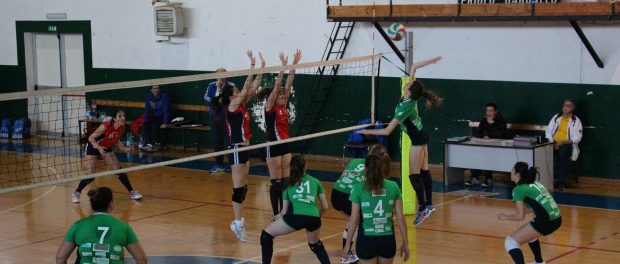 angelo custode-eurialo