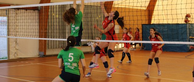 eurialo virtus floridia