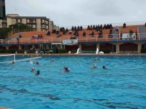 ortigia rosa - SiracusaTimes (2)