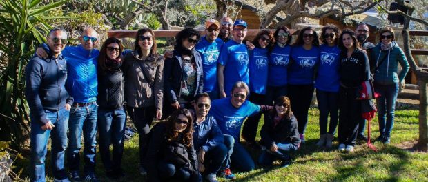 12967428_2011267045765314_1661296121444623271_o