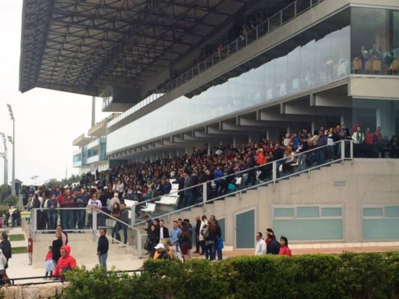 Siracusa, Ippica. Pubblico rapito dallo spettacolare mix di fragole e galoppo