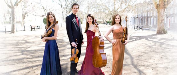 foto Alauda siracusa times