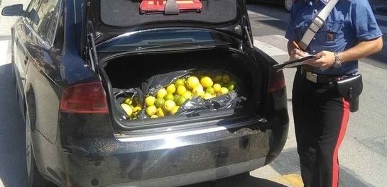 arresto_furto_melilli - siracusatimes